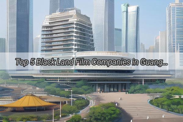 Top 5 Black Land Film Companies in Guangzhou Shading the Future with Innovation